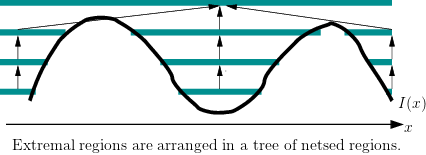 mser-tree.png