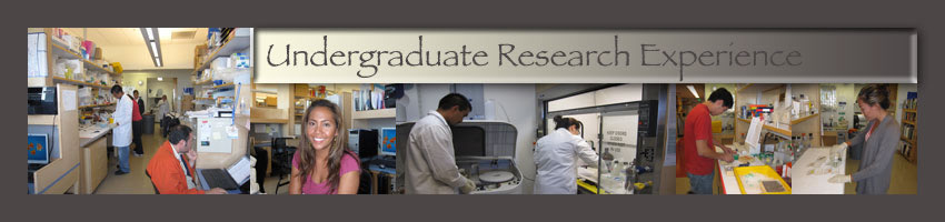 Rudy M Ortiz Lab Undergraduate Research Experience
